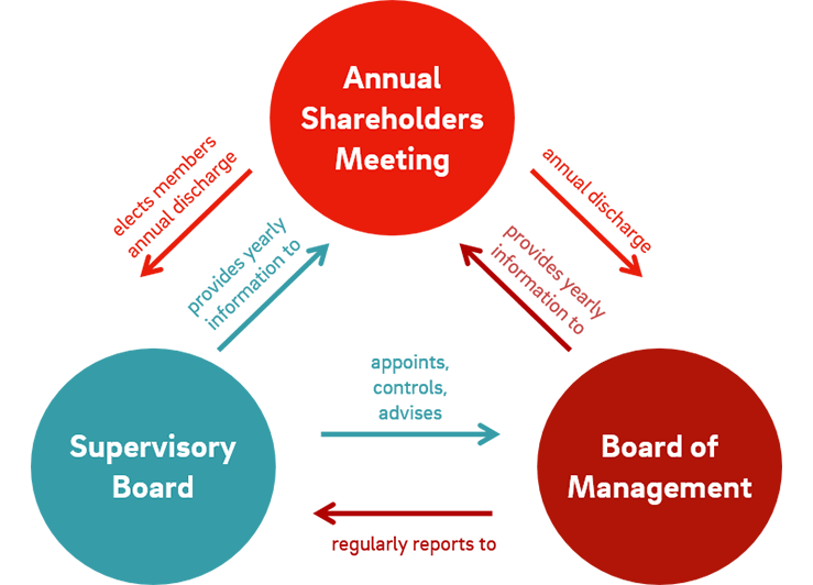 corporate governance flowchart