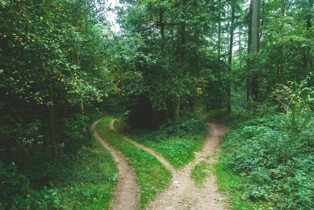 Two diverging roads