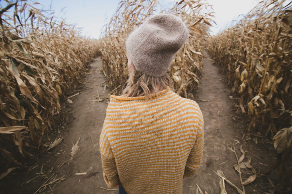 Two paths diverging