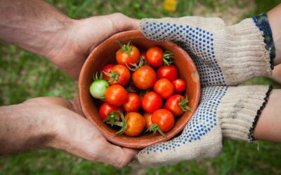 A Beginner’s Guide to Transferring Ownership of an LLC